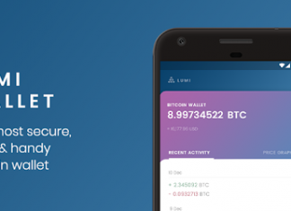 Обзор и отзывы кошелька Lumi